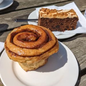  at Flicka Donkey Sanctuary in Penryn