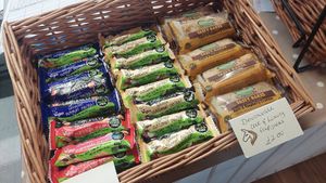  at Flicka Donkey Sanctuary in Penryn