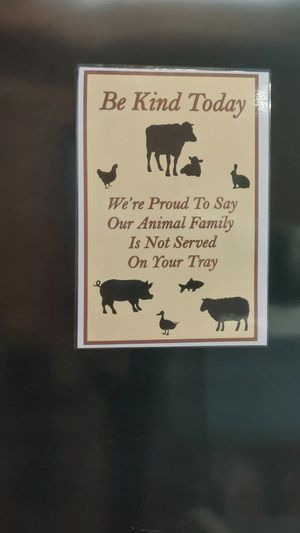  at Flicka Donkey Sanctuary in Penryn