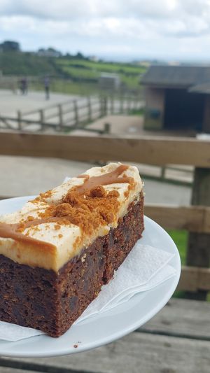  at Flicka Donkey Sanctuary in Penryn