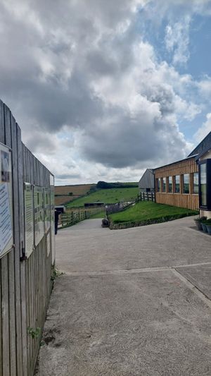  at Flicka Donkey Sanctuary in Penryn