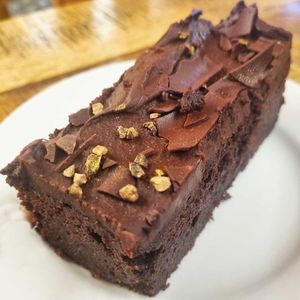  at Flicka Donkey Sanctuary in Penryn