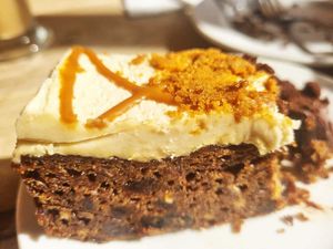  at Flicka Donkey Sanctuary in Penryn