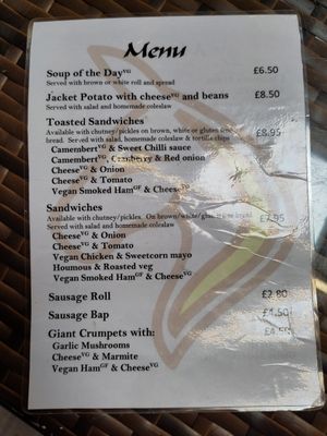  at Flicka Donkey Sanctuary in Penryn