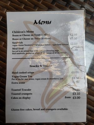  at Flicka Donkey Sanctuary in Penryn