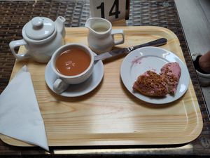  at Flicka Donkey Sanctuary in Penryn