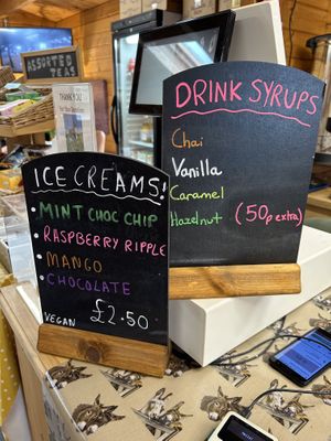 Extras   at Flicka Donkey Sanctuary in Penryn