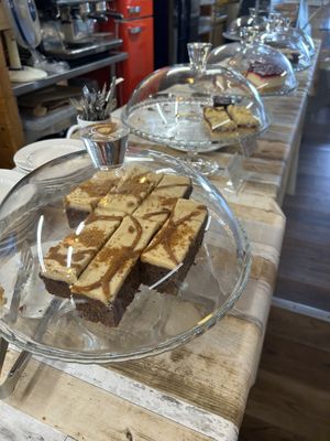 Biscoff cake and friends   at Flicka Donkey Sanctuary in Penryn