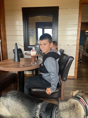 Dog and child friendly ❤️  at Flicka Donkey Sanctuary in Penryn