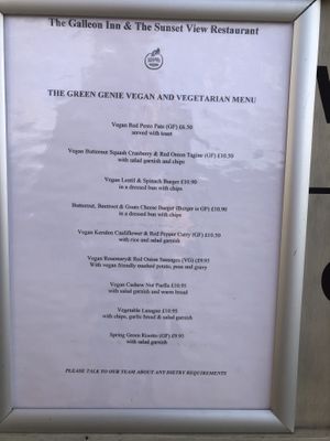 Veggie and vegan starter and mains  at Galleon Inn in Broad Haven