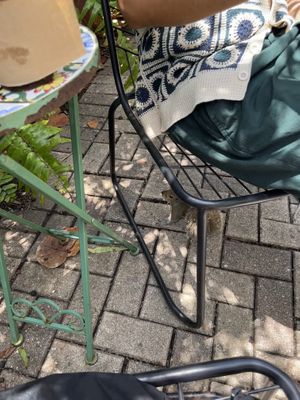   at Black Crow Coffee Co - 1st Ave in St Petersburg