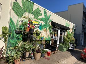 Outside at Mad Snake Cafe in Darwin