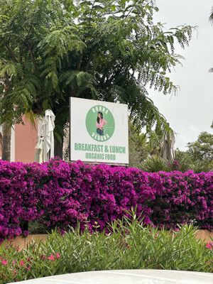   at Donna Vegana in Mallorca