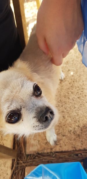Best waiter ever   at Donna Vegana in Mallorca