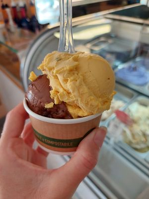 Sacher and mango at Piran Pirano PastIccerIa in Piran