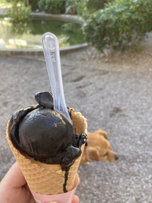 Black Hawaii   at Piran Pirano PastIccerIa in Piran