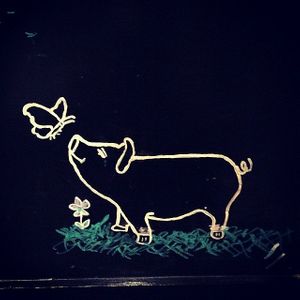 B&P at The Butterfly and the Pig - City Centre in Glasgow