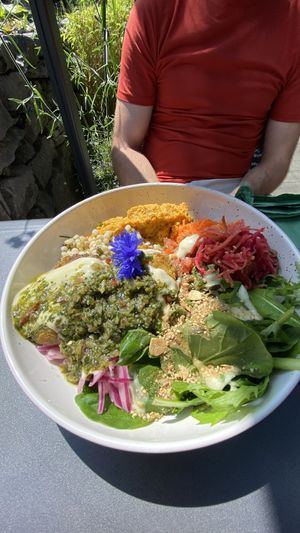Falafel salad at Garden Cafe at Brigit's Garden in Galway