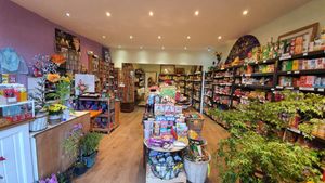 Flowers blossom beautifully at Lotus Store in Bedford