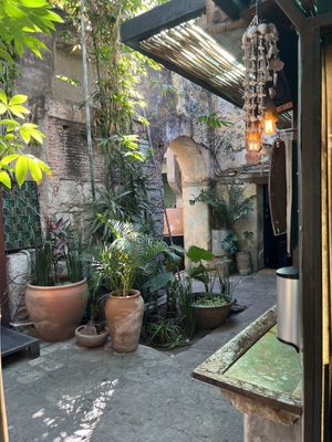   at Boulenc in Oaxaca