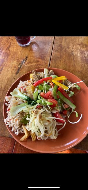Vegan selection 🌱  at Phuket Elephant Sanctuary in Phuket