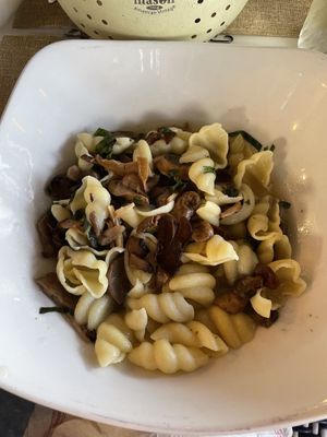 Mushroom pasta   at Ciccia Osteria in San Diego