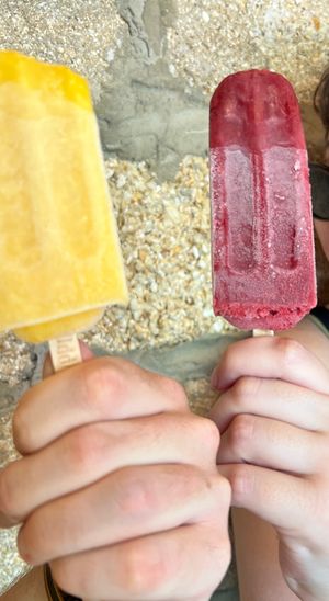   at The Hyppo in St Augustine