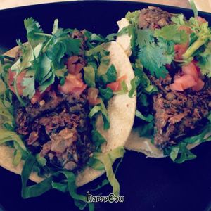 lentil taco at My Vegan in Pasadena
