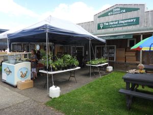 Summer time @ The HD. at The Herbal Dispensary in Raglan