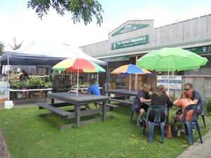 Summer time @ The HD. at The Herbal Dispensary in Raglan