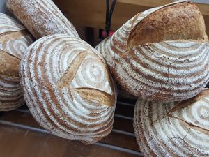 хляб с див квас at IoleBakery in Sofia