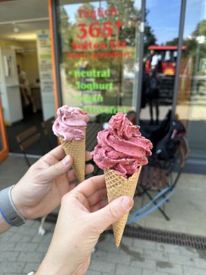   at Eiz Manufaktur in Koenigstein