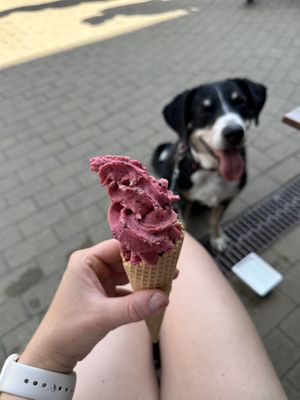   at Eiz Manufaktur in Koenigstein