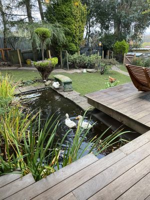 Garden Sanctuary at The Base Vegan Retreat & Small Animal Sanctuary in Bristol