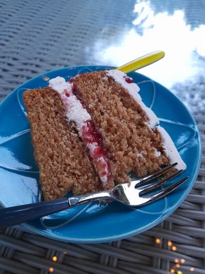 Victoria sponge cake at The Base Vegan Retreat & Small Animal Sanctuary in Bristol