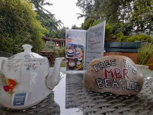 Afternoon tea at The Base Vegan Retreat & Small Animal Sanctuary in Bristol