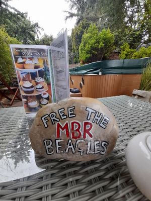 Free all animals! at The Base Vegan Retreat & Small Animal Sanctuary in Bristol