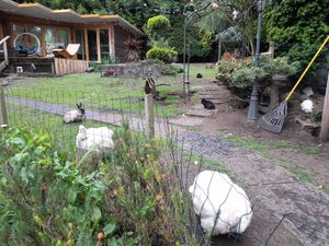 The garden at The Base Vegan Retreat & Small Animal Sanctuary in Bristol