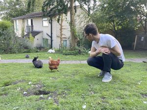 Hanging with the rabbits and chickens   at The Base Vegan Retreat & Small Animal Sanctuary in Bristol