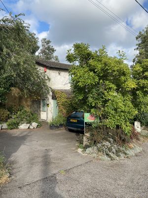 The Base  at The Base Vegan Retreat & Small Animal Sanctuary in Bristol