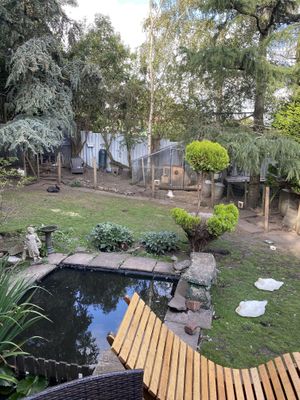 Garden  at The Base Vegan Retreat & Small Animal Sanctuary in Bristol