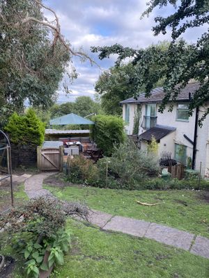 The garden  at The Base Vegan Retreat & Small Animal Sanctuary in Bristol