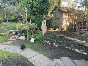  at The Base Vegan Retreat & Small Animal Sanctuary in Bristol