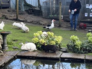   at The Base Vegan Retreat & Small Animal Sanctuary in Bristol