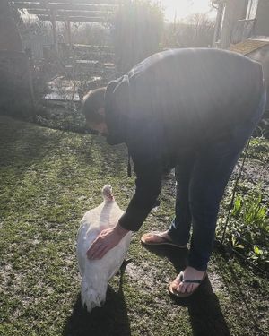   at The Base Vegan Retreat & Small Animal Sanctuary in Bristol