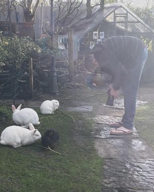   at The Base Vegan Retreat & Small Animal Sanctuary in Bristol