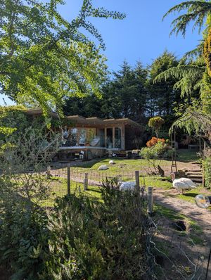  at The Base Vegan Retreat & Small Animal Sanctuary in Bristol