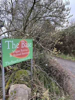   at The Base Vegan Retreat & Small Animal Sanctuary in Bristol