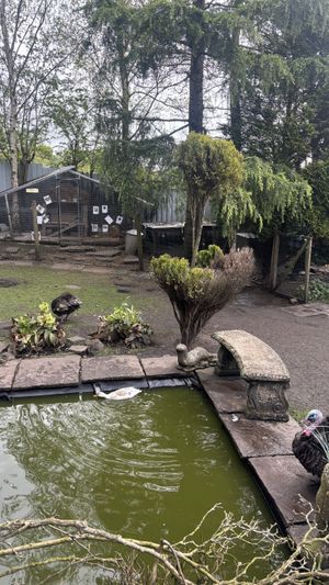   at The Base Vegan Retreat & Small Animal Sanctuary in Bristol