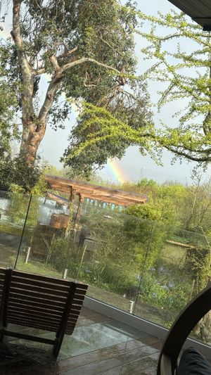   at The Base Vegan Retreat & Small Animal Sanctuary in Bristol